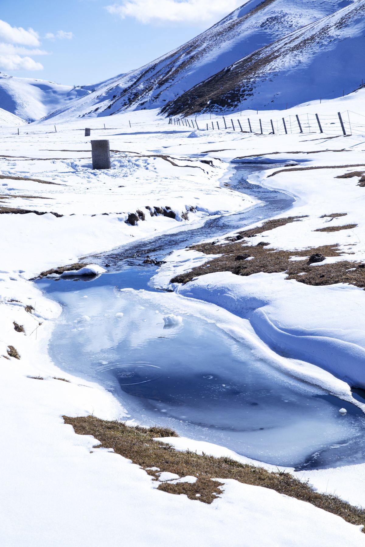 会泽大海草山雪景图片