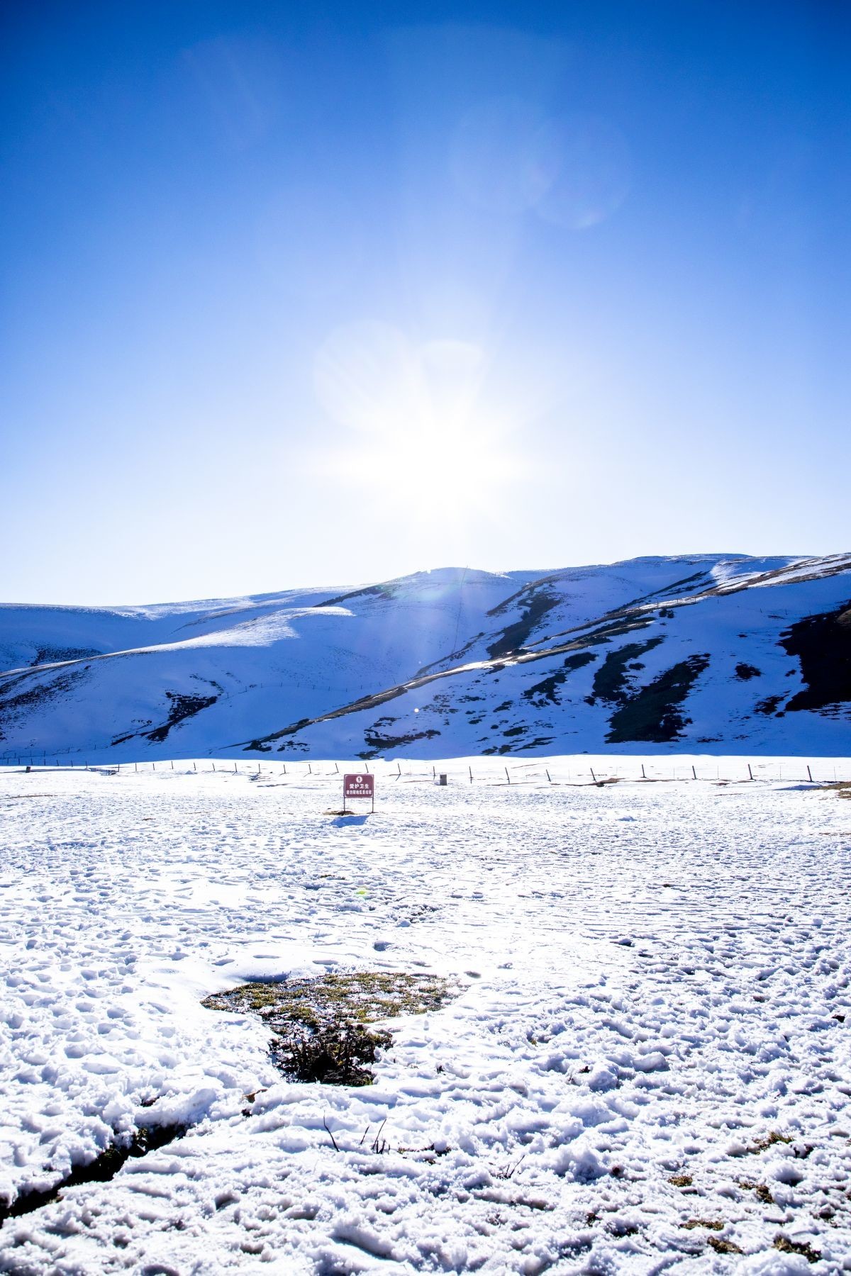 会泽大海草山雪景图片