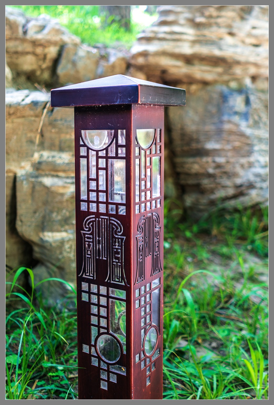 夏日圆明园随拍