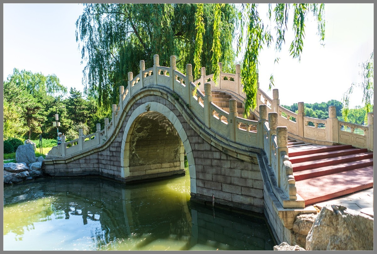 夏日圆明园随拍