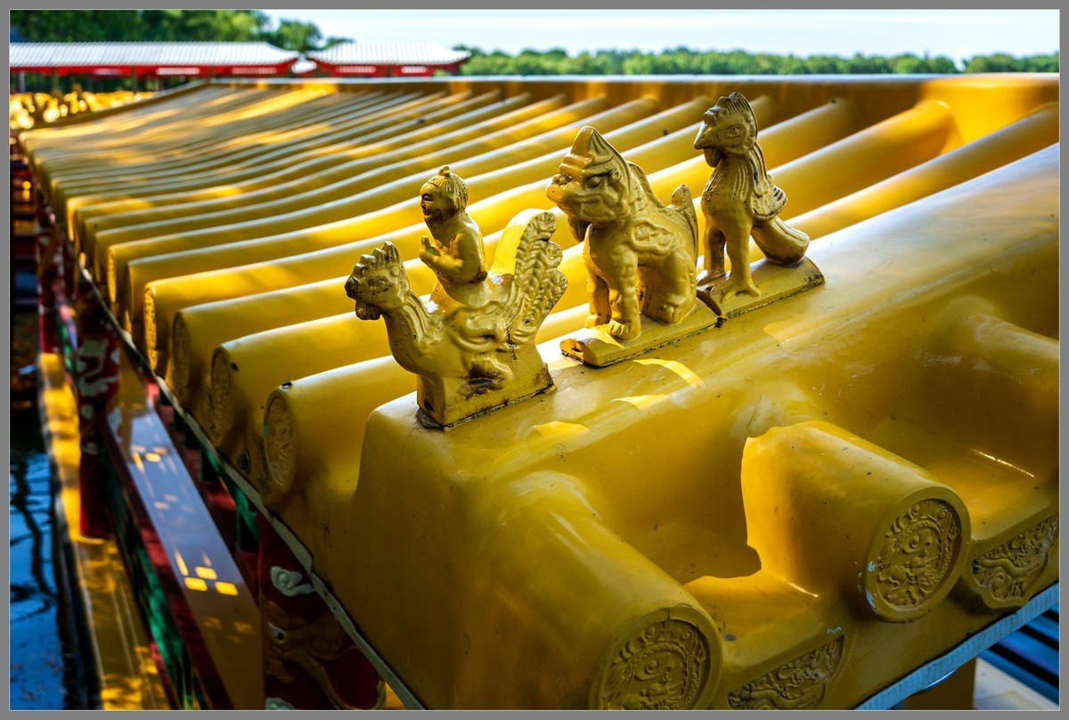 夏日圆明园随拍