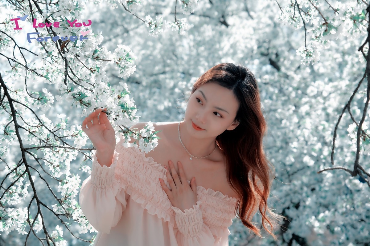 美丽的樱花盛开时…