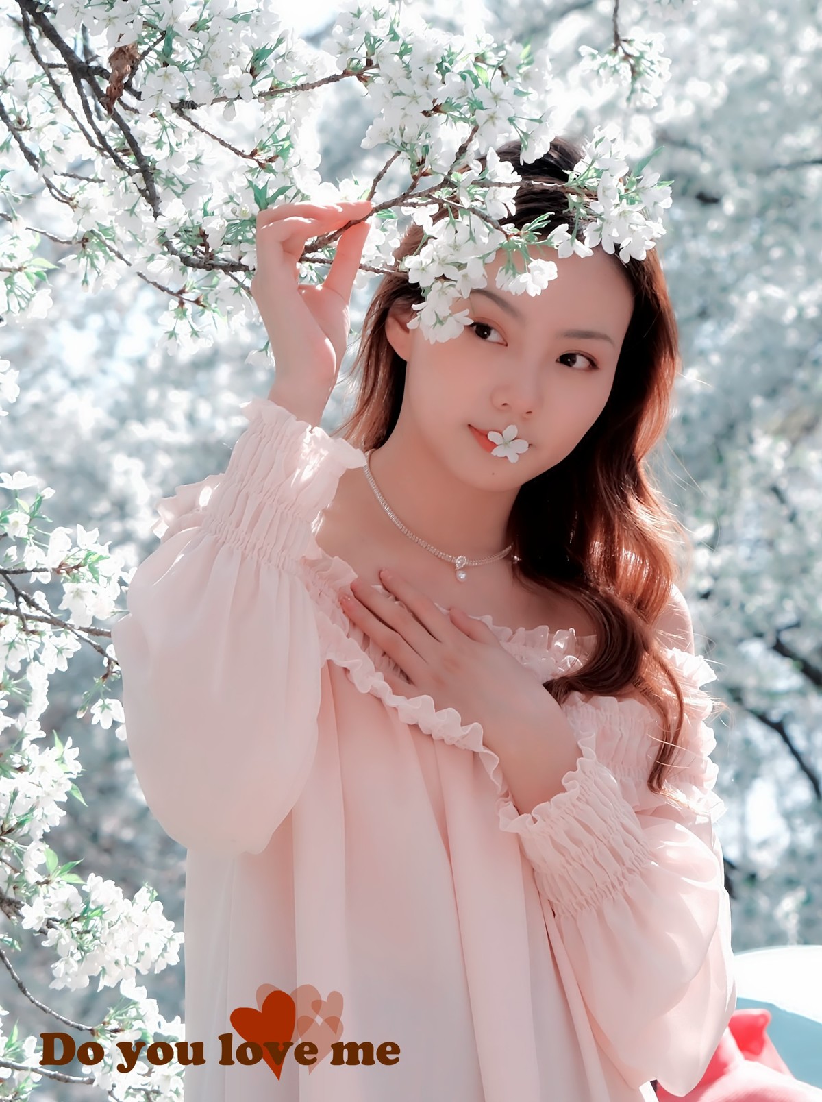 美丽的樱花盛开时…