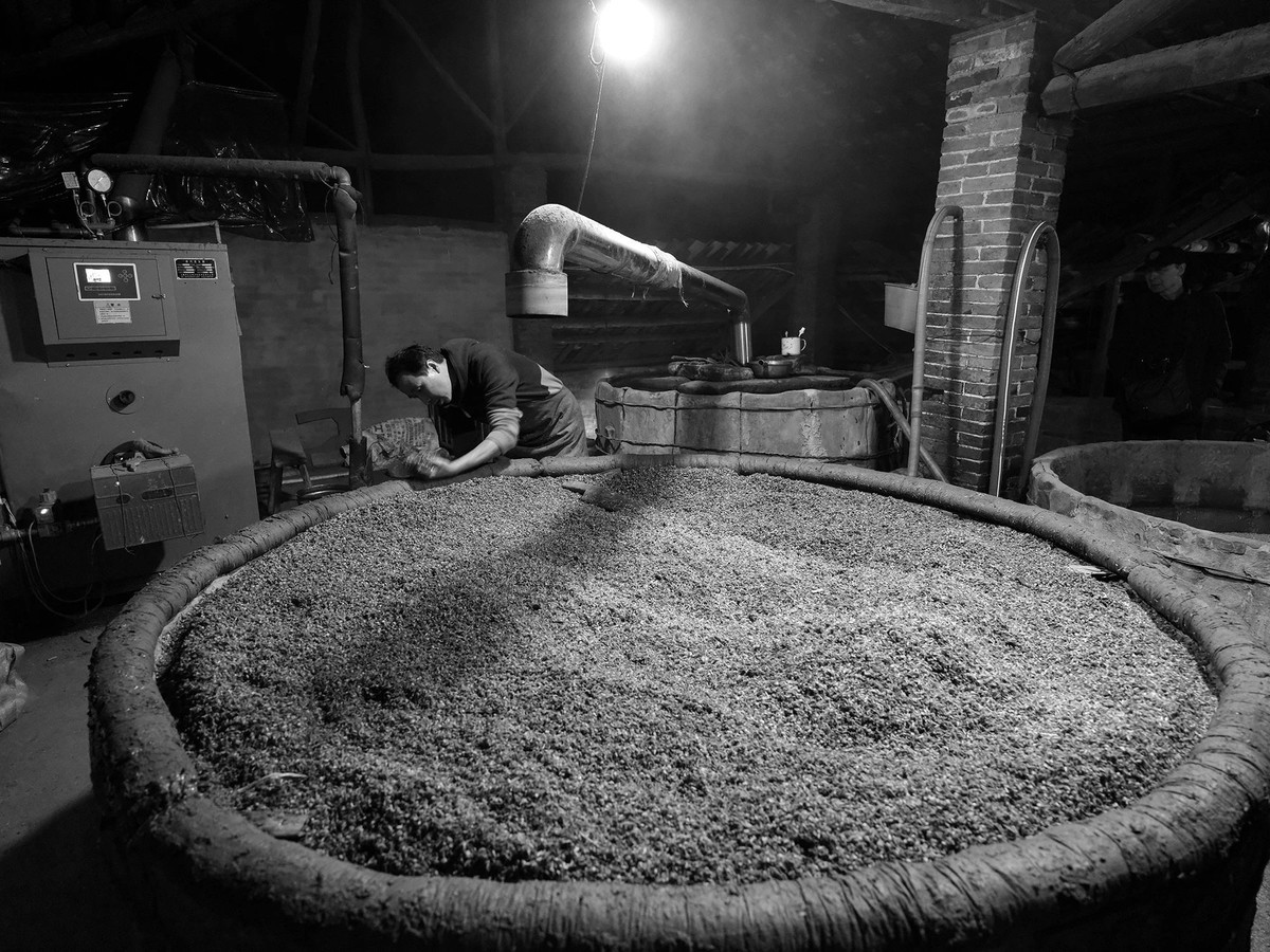 探秘宜宾老酒厂，近距离观看制酒工艺