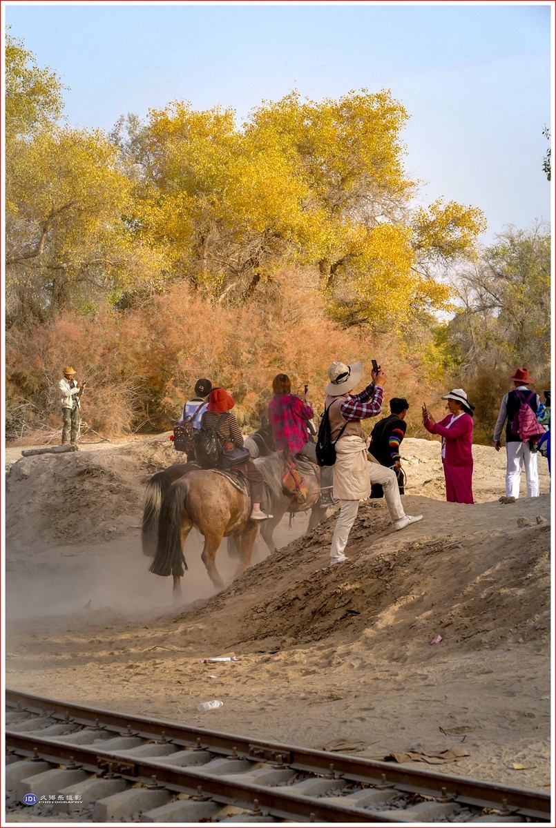 2024-（029）轮台塔里木河胡杨林（十二）