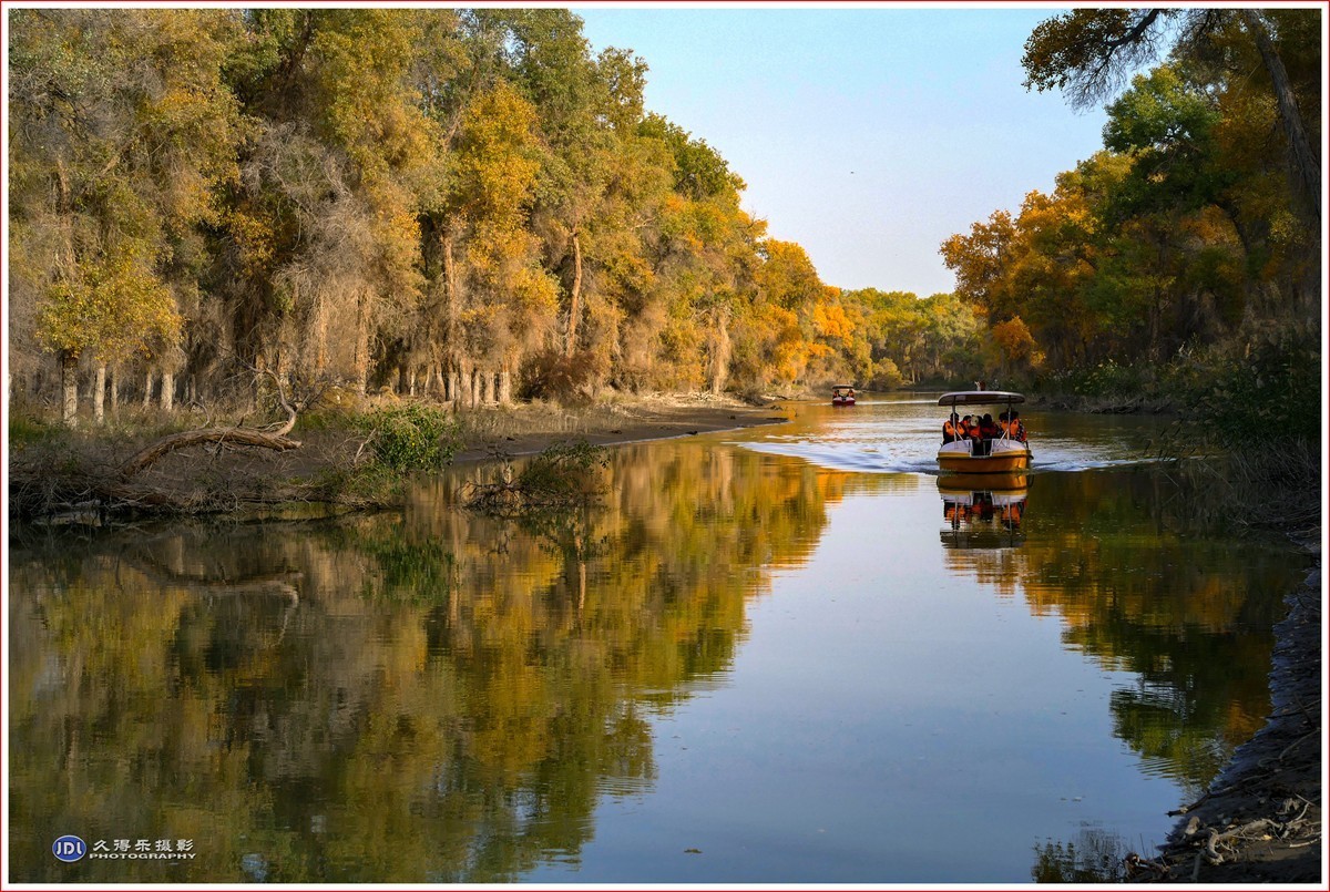 2024-（029）轮台塔里木河胡杨林（十二）