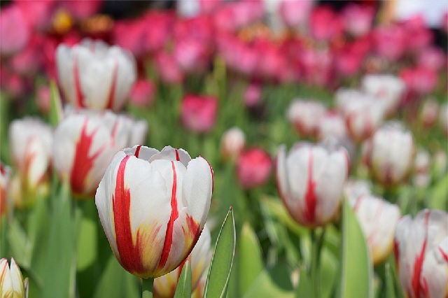 醉美厦门·记录