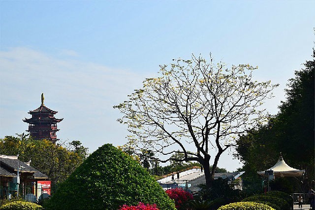 醉美厦门·记录