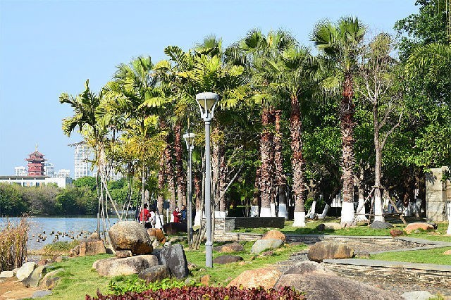 醉美厦门·记录