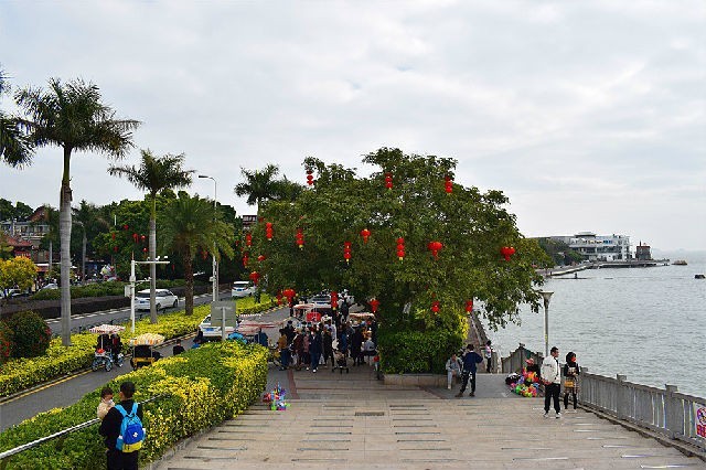 醉美厦门·记录