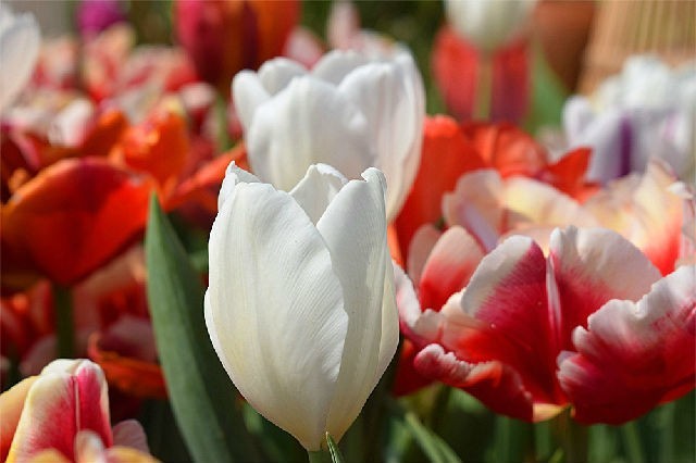 醉美厦门·记录