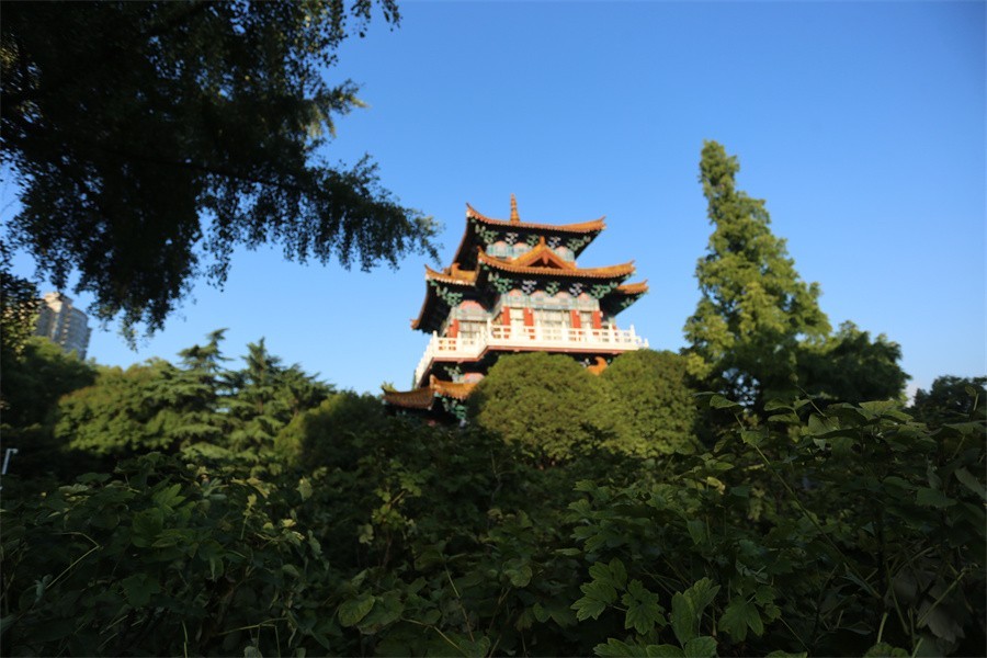 暑期的洛阳王城公园印象