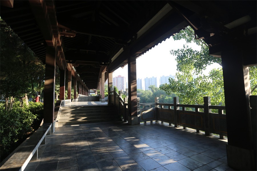 暑期的洛阳王城公园印象
