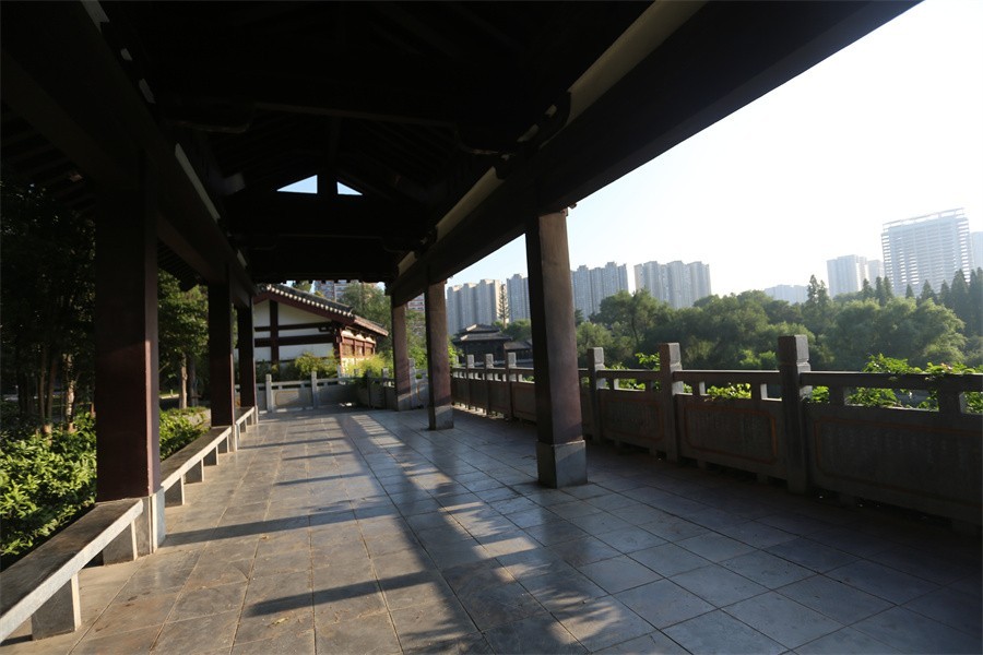 暑期的洛阳王城公园印象