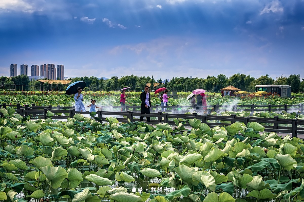 曲靖 · 麒麟水乡（3）