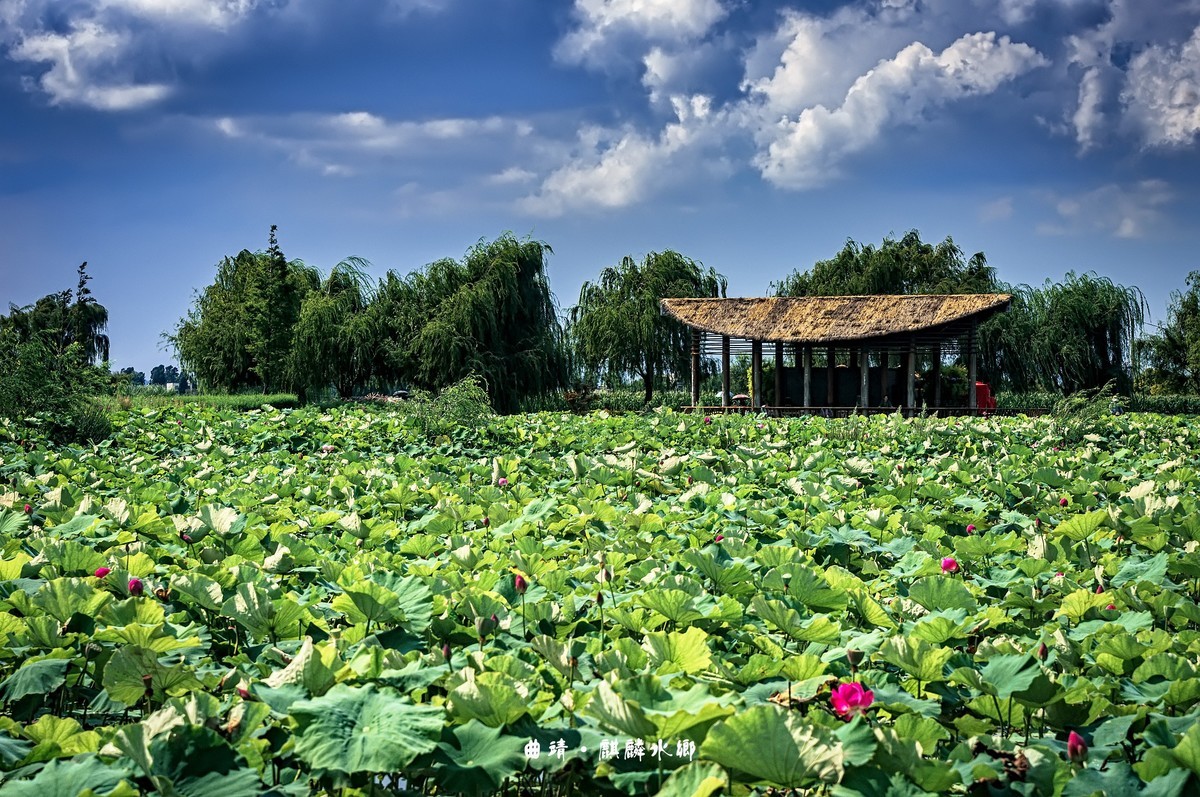 曲靖 · 麒麟水乡（3）