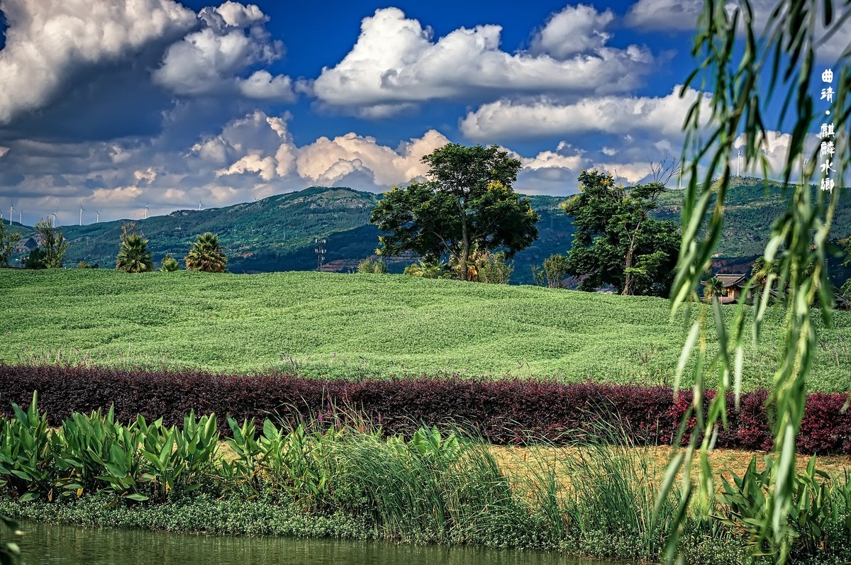 曲靖 · 麒麟水乡（3）