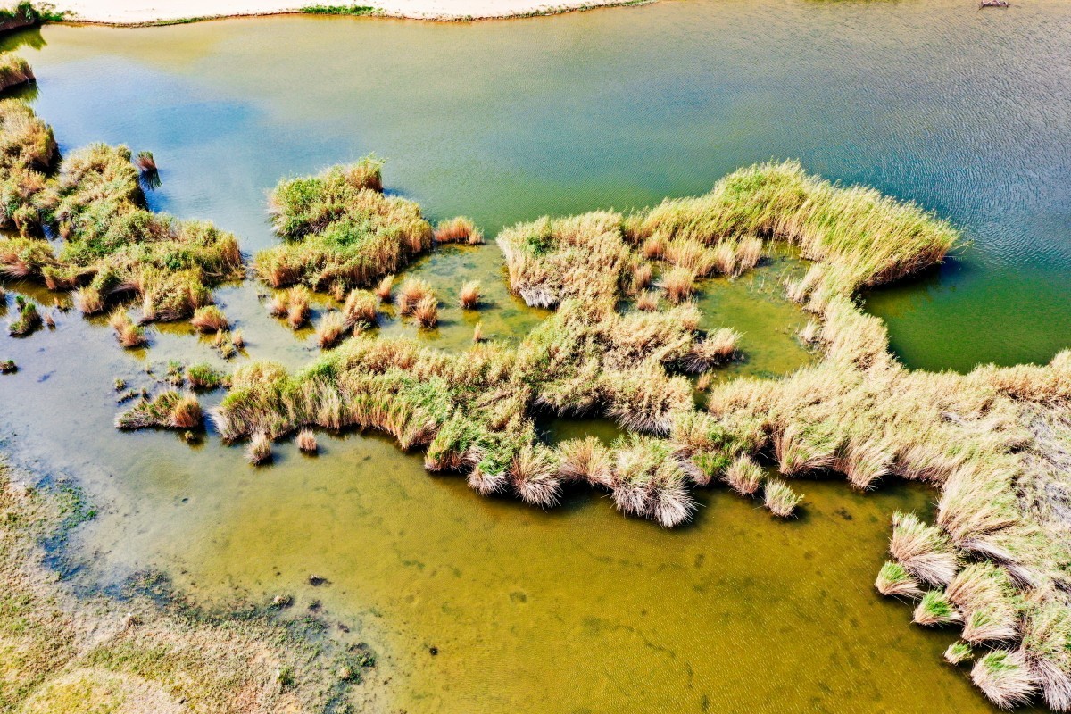 外出随拍（续245）.