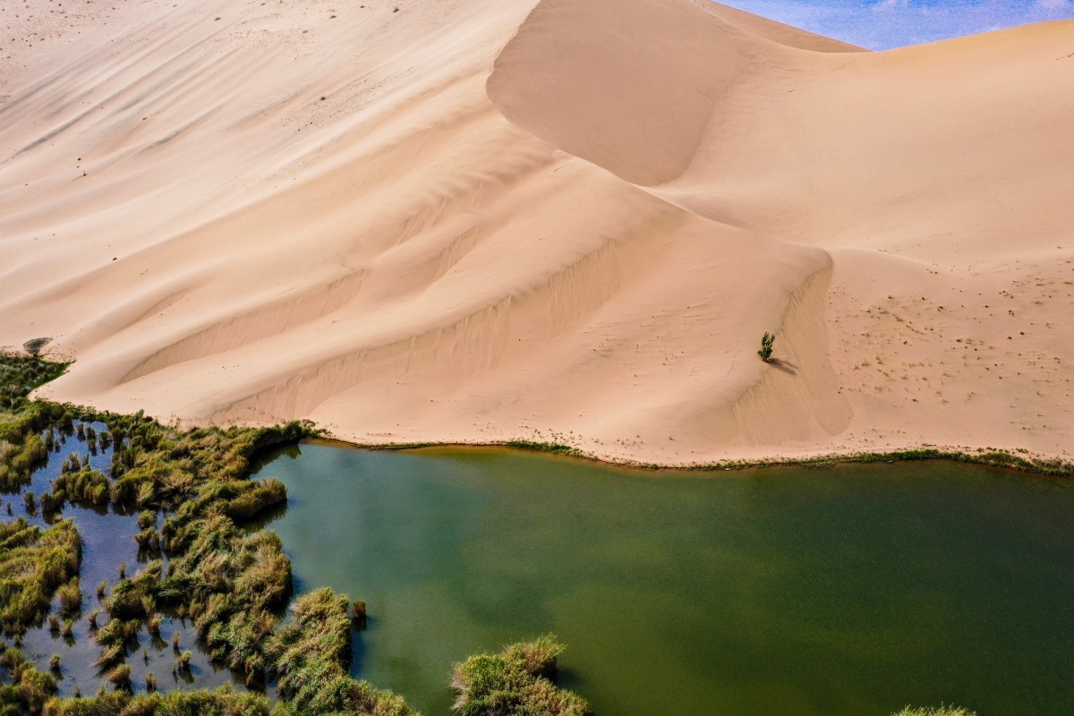 外出随拍（续245）.