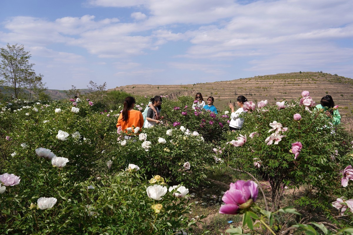 落尽残红始吐芳  佳名唤作百花王