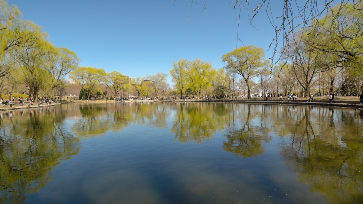 春游玉渊潭20220327 《20》