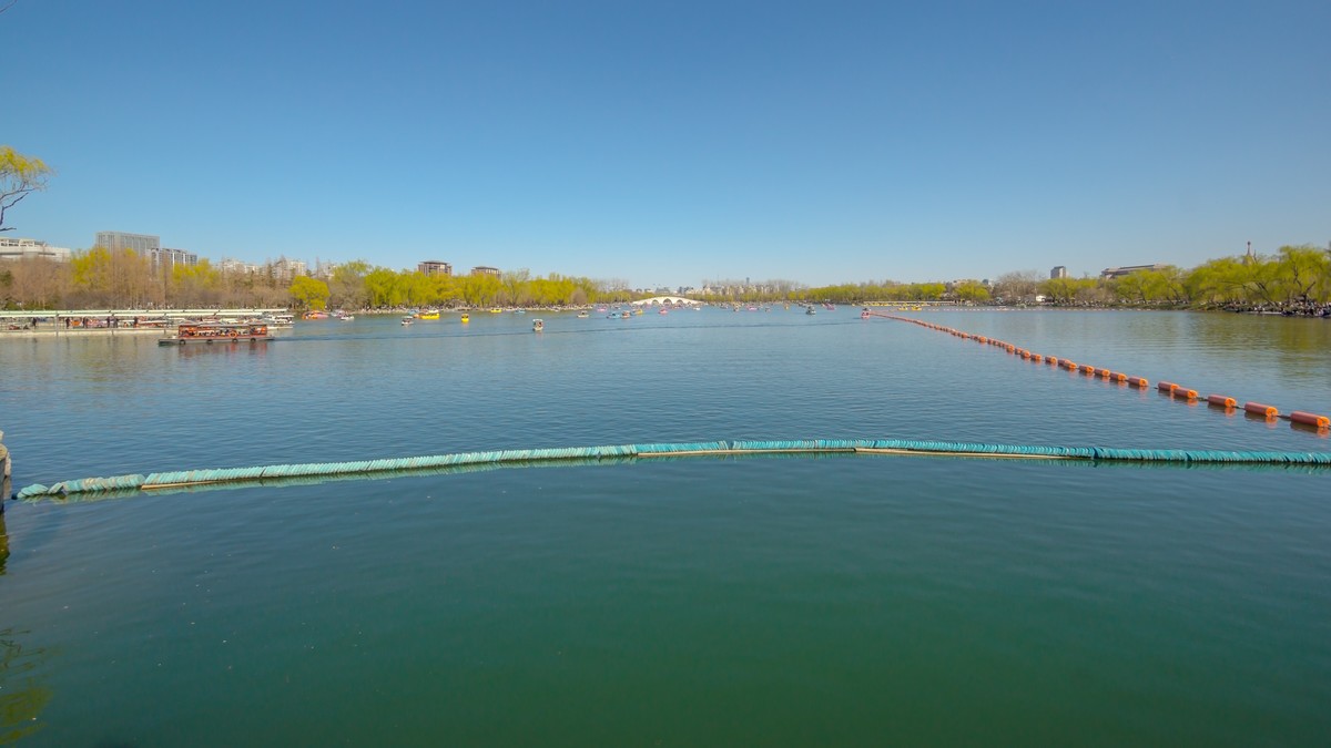 春游玉渊潭20220327 《20》