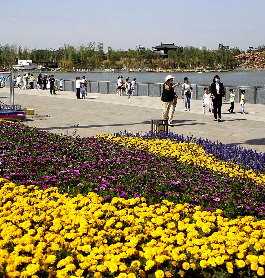 《不老松：纪实摄影》大美沧州系列報道：沧州园博园局部内景！(6)