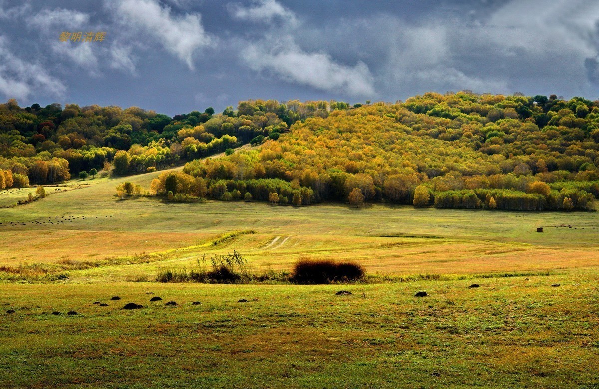 #版主坐堂#索尼大版星空(中国)2024年 3 月份优秀作品精选汇总