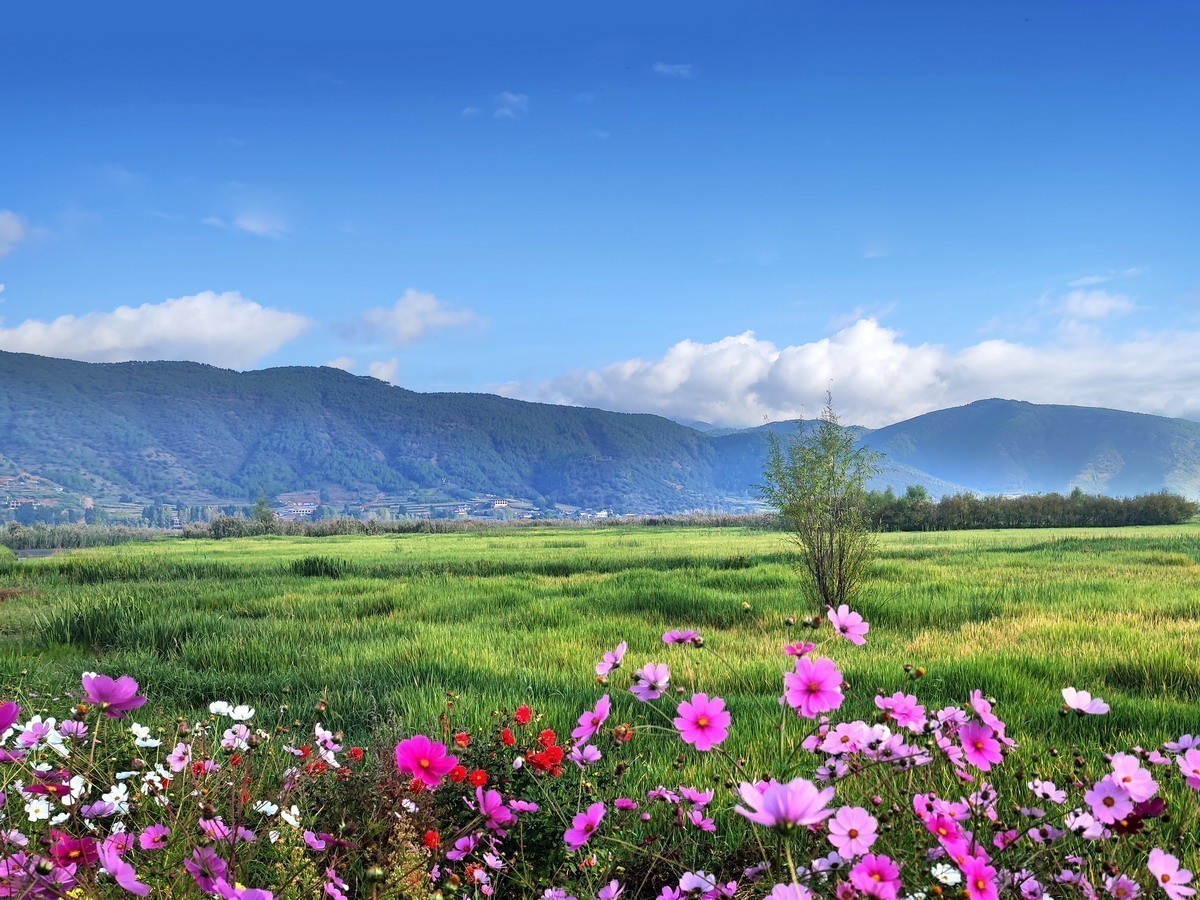 #版主坐堂#索尼大版星空(中国)2024年 3 月份优秀作品精选汇总