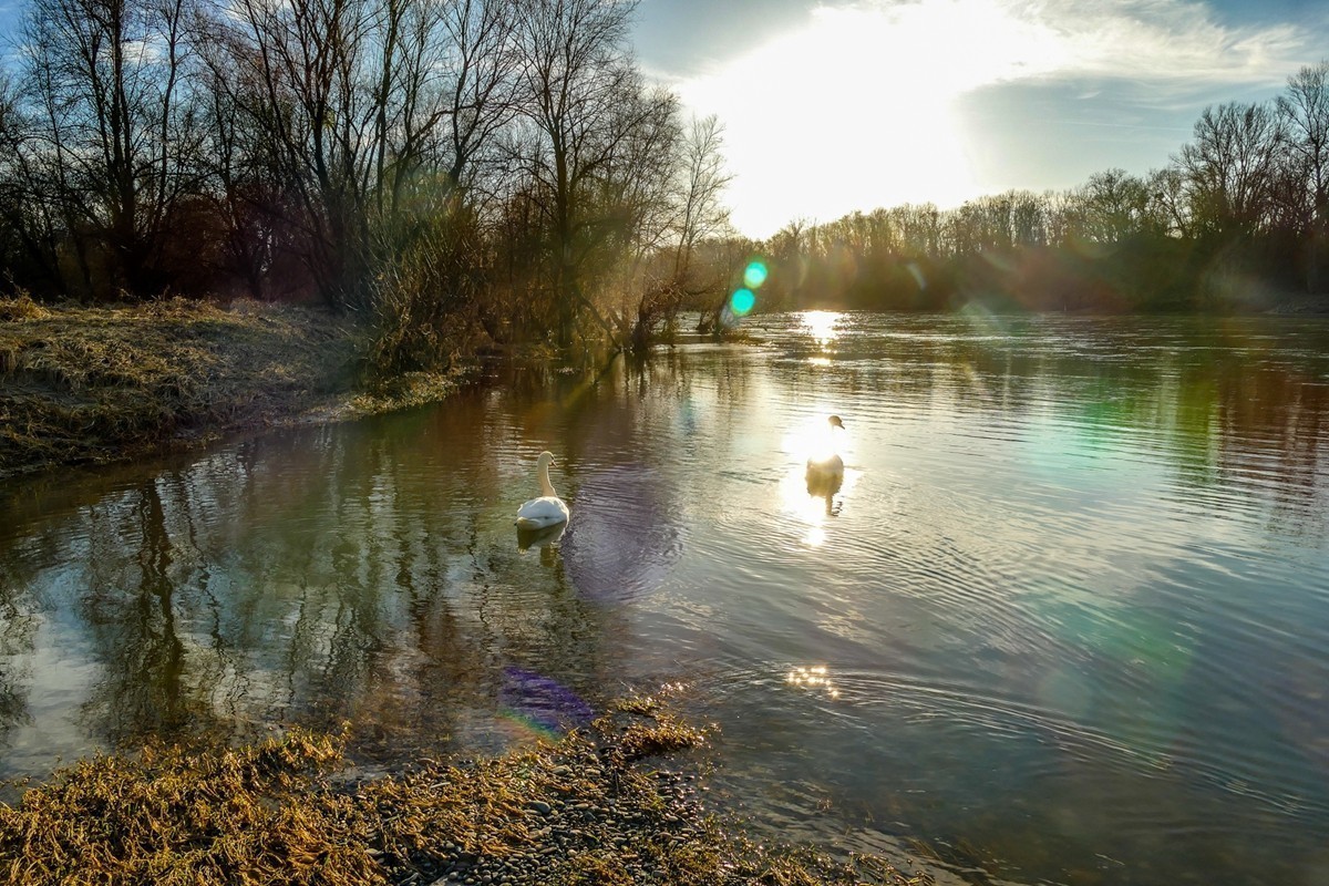 #版主坐堂#索尼大版星空(中国)2024年 3 月份优秀作品精选汇总