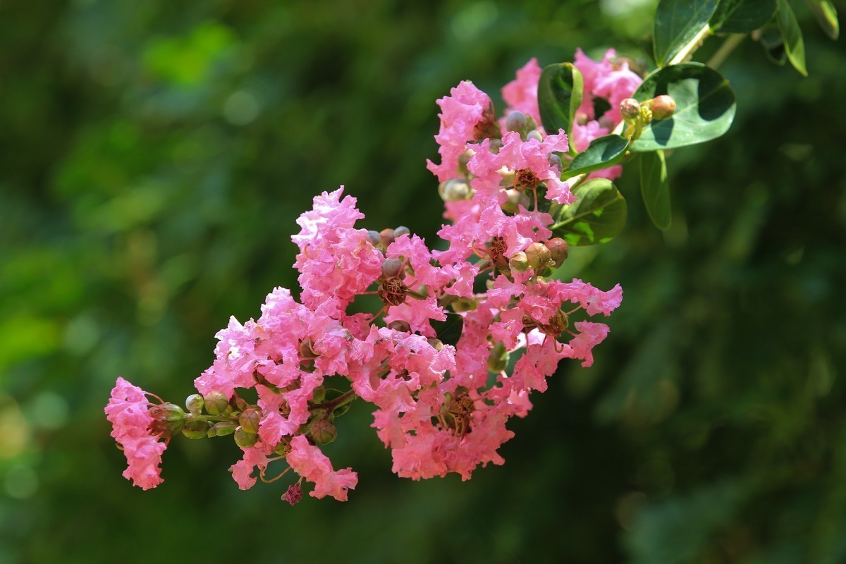 #版主坐堂#索尼大版星空(中国)2024年 3 月份优秀作品精选汇总