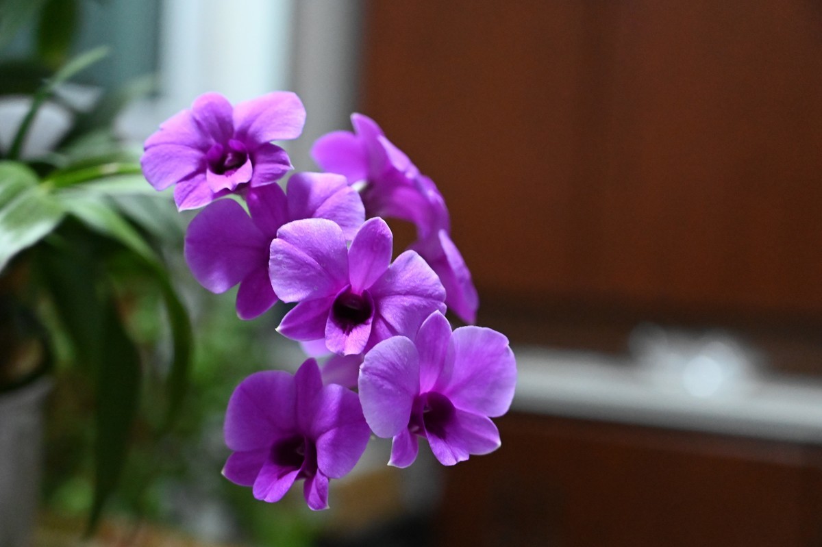 #版主坐堂#索尼大版星空(中国)2024年 3 月份优秀作品精选汇总