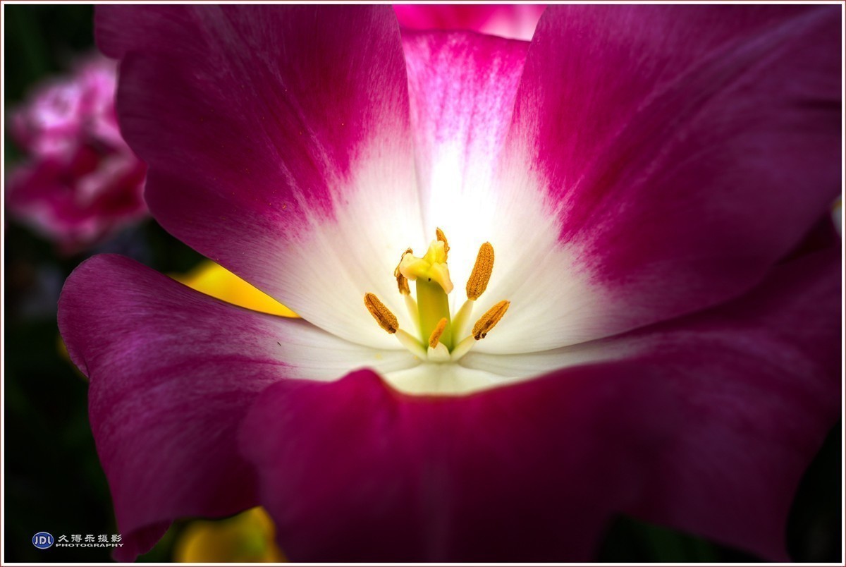 #版主坐堂#索尼大版星空(中国)2024年 3 月份优秀作品精选汇总