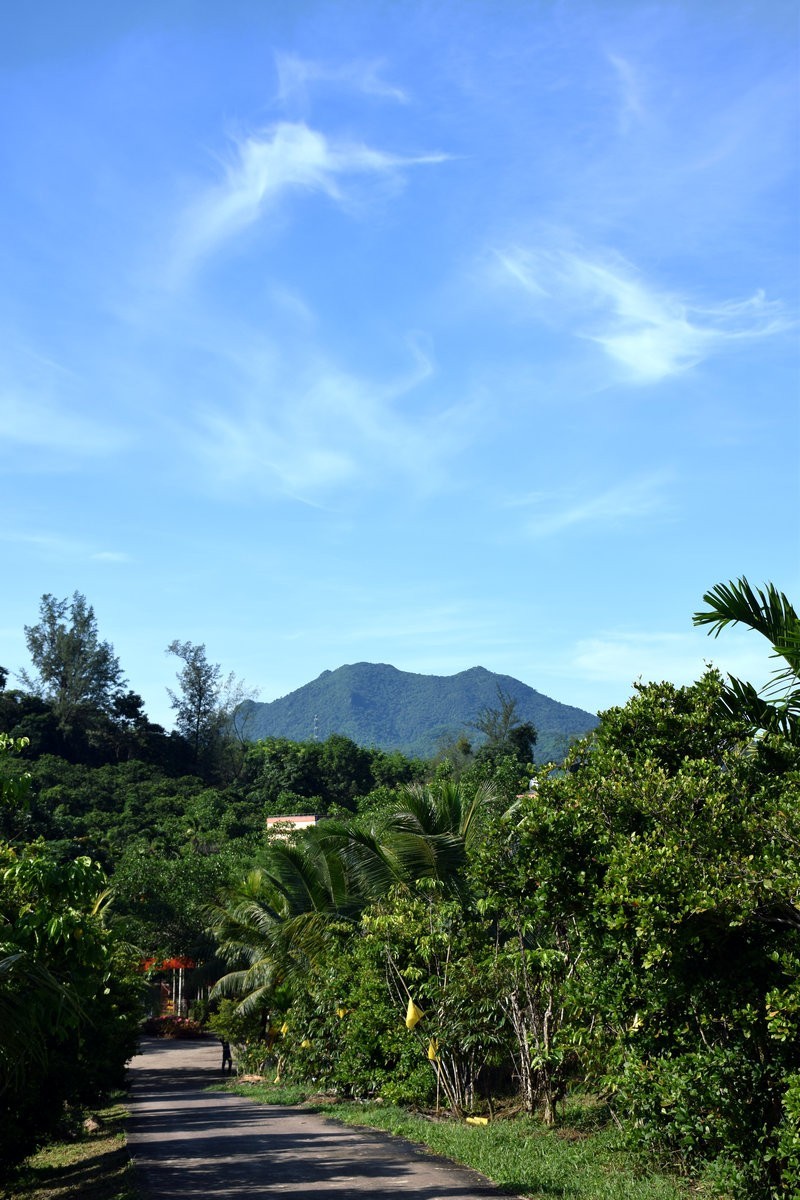 2024夏海南环岛行65兴隆天然温泉