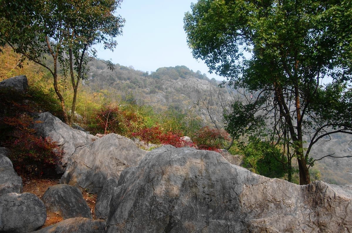 三衢石林风景区游记-4