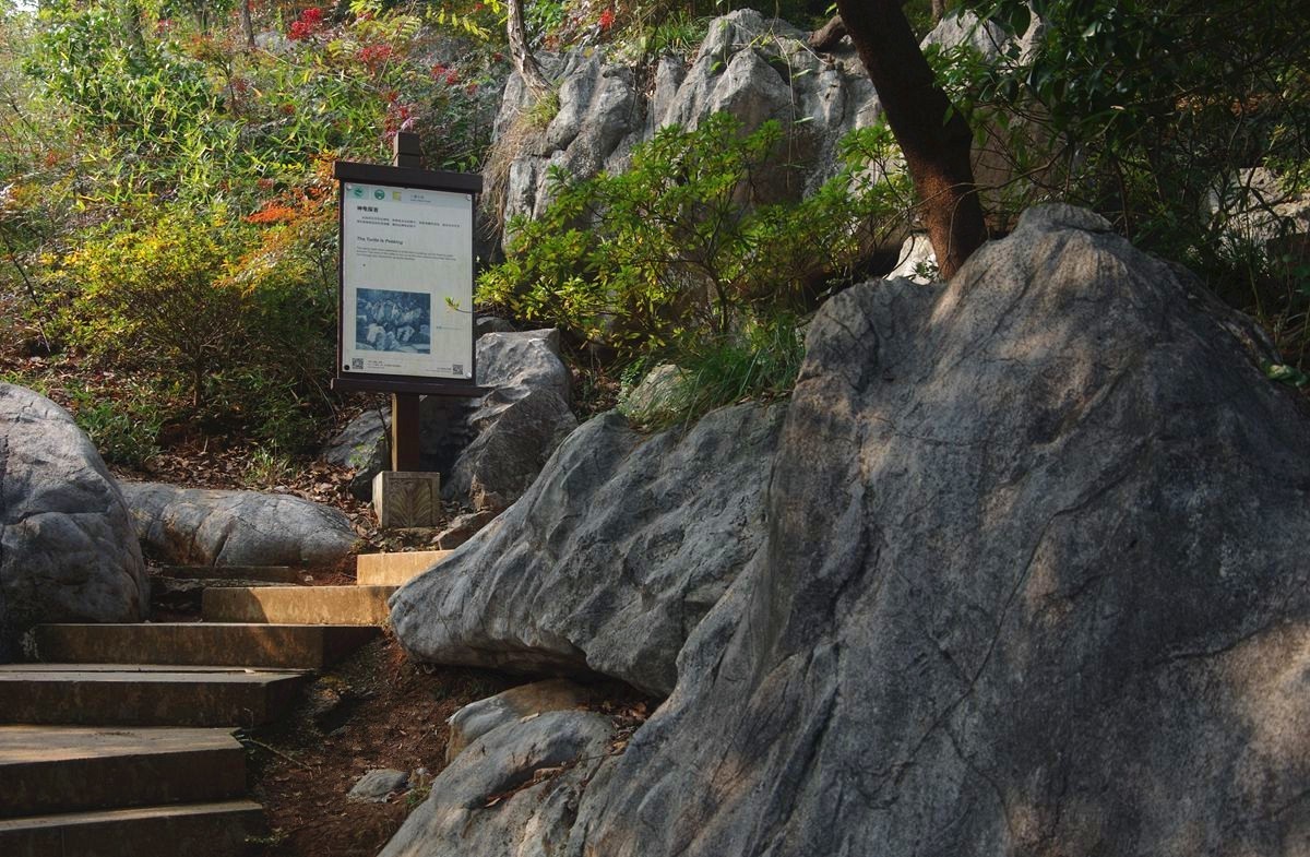 三衢石林风景区游记-4