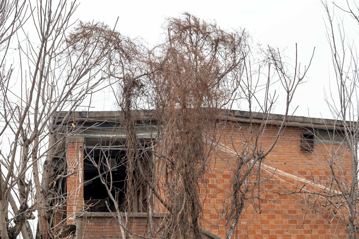 庐州印象（434）央视年度大戏《六姊妹》拍摄地