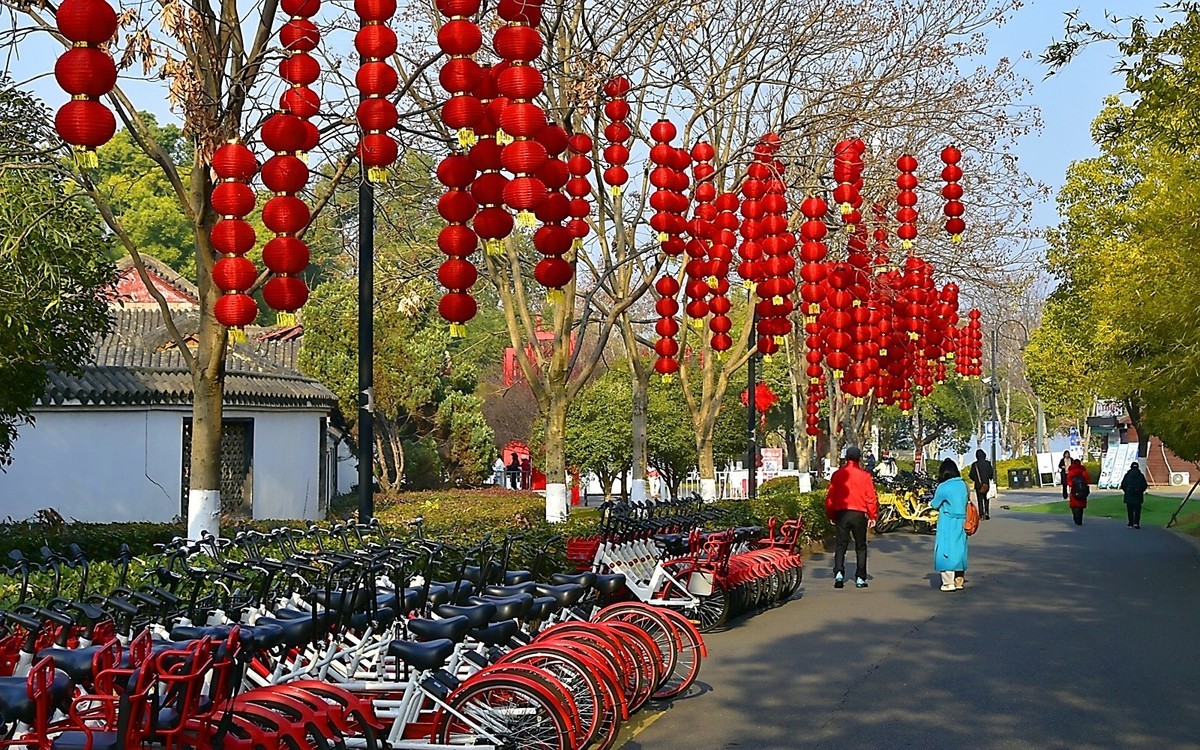 梅开二月    梅园花好