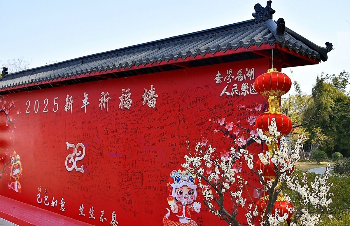 梅开二月    梅园花好