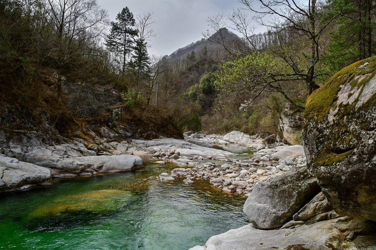 我只是把出去看到的随手记录下来（132）