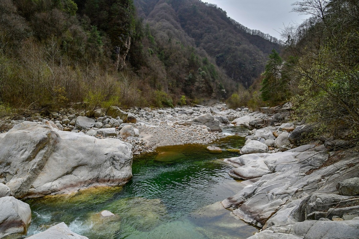 我只是把出去看到的随手记录下来（132）