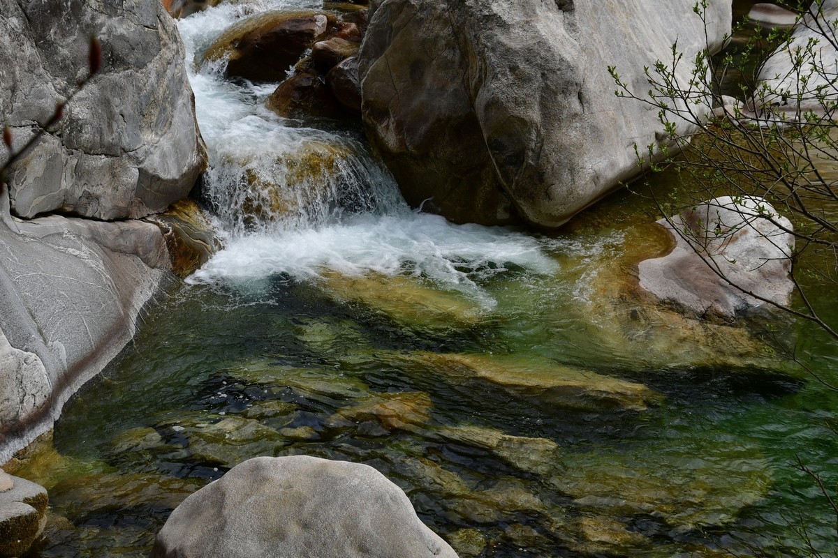 秦岭龙吟溪（下）