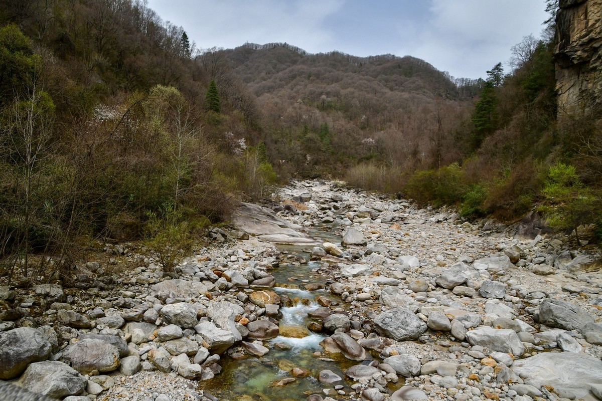 秦岭龙吟溪（下）