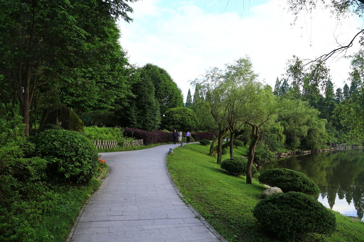 我只是把出去看到的随手记录下来（133）