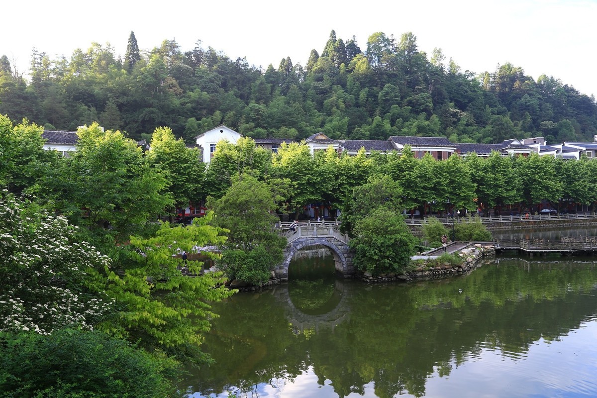 我只是把出去看到的随手记录下来（133）