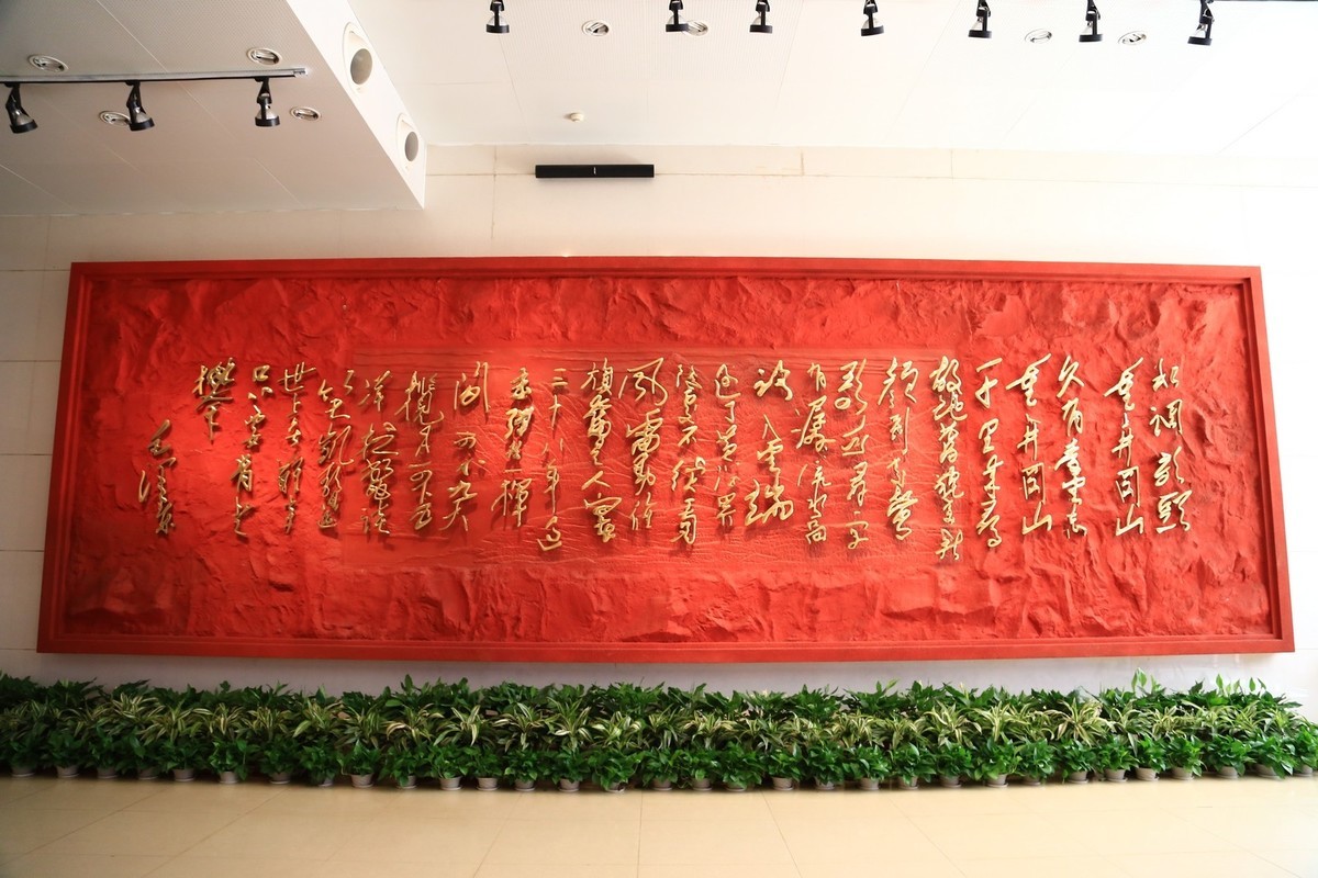 我只是把出去看到的随手记录下来（133）