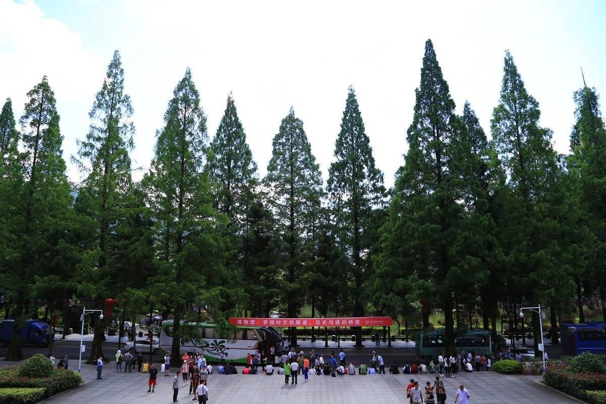 我只是把出去看到的随手记录下来（133）