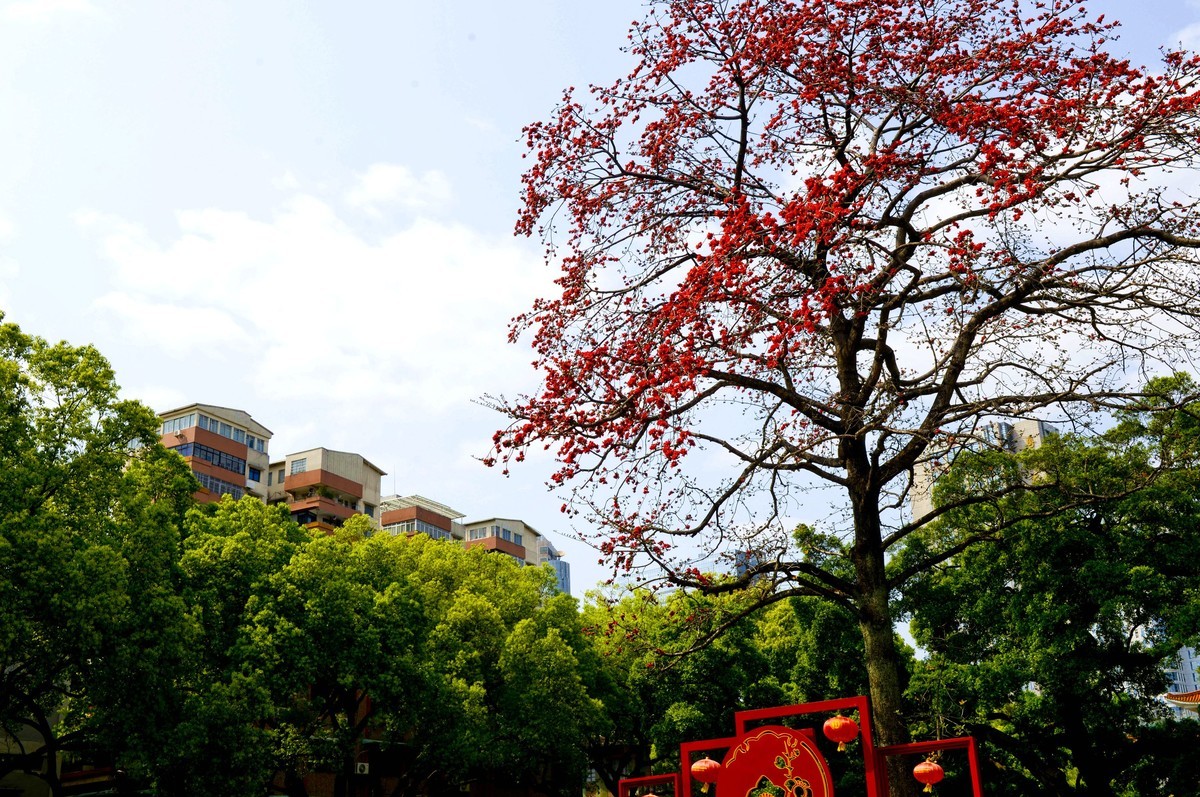 花城春色（二）