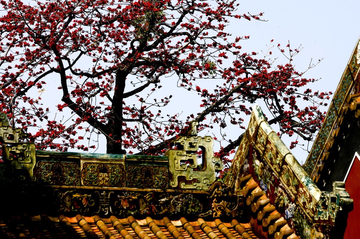 花城春色（二）