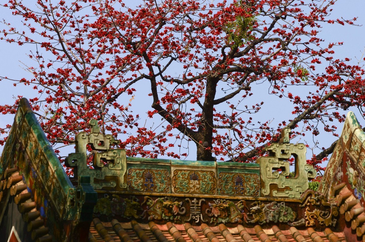 花城春色（二）